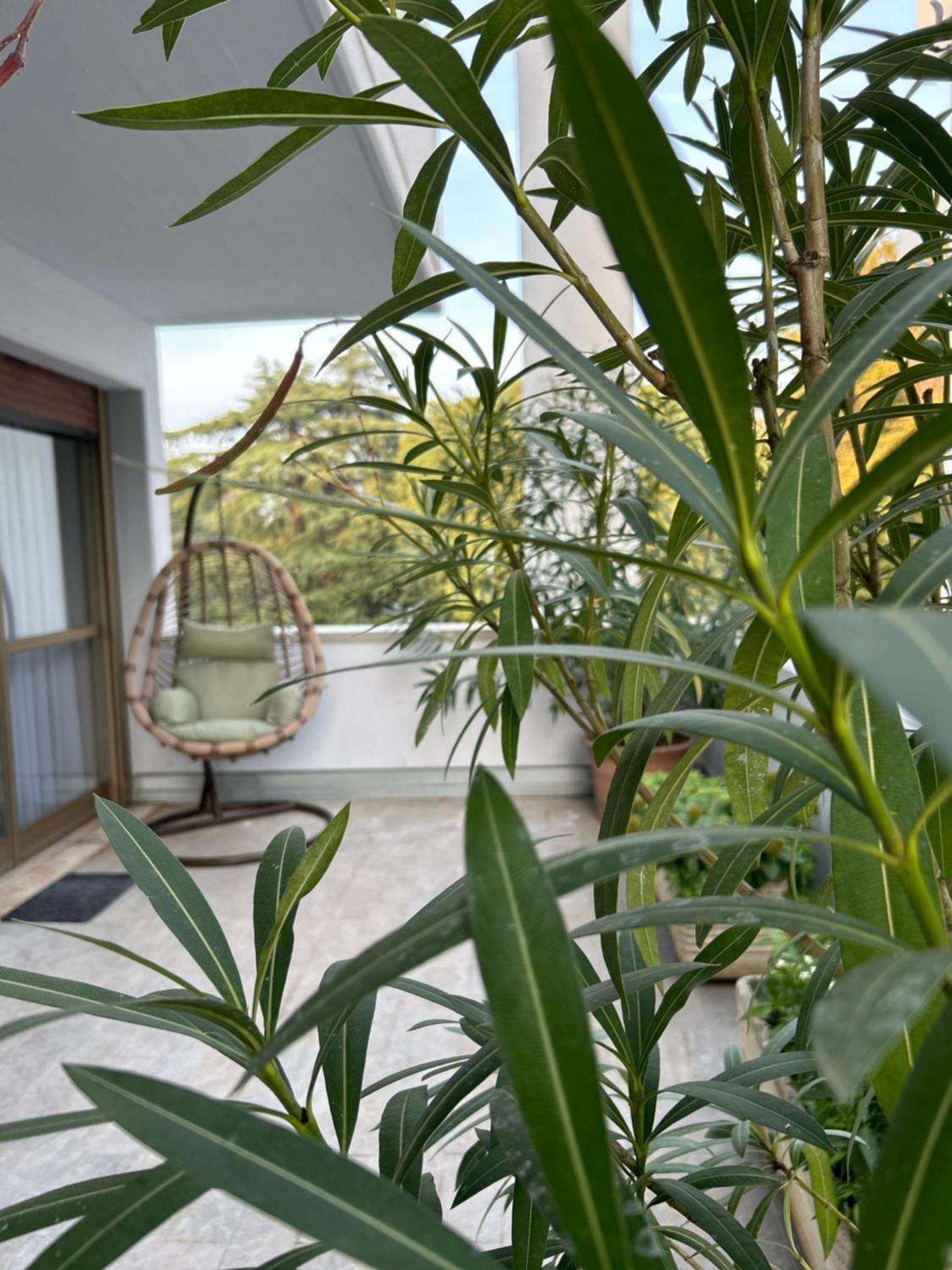 Room& Breakfast Martin'S Luxury بولونيا المظهر الخارجي الصورة